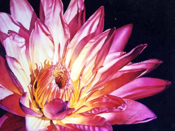 Water Lily I Water Lily I