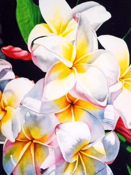 White Plumeria I White Plumeria I
