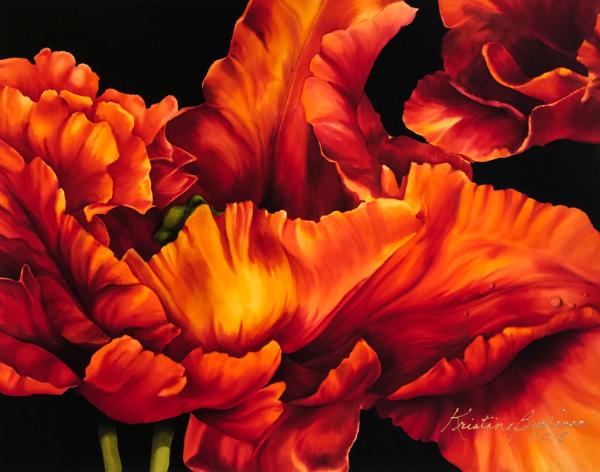 Outrageous Orange Parrot Tulip