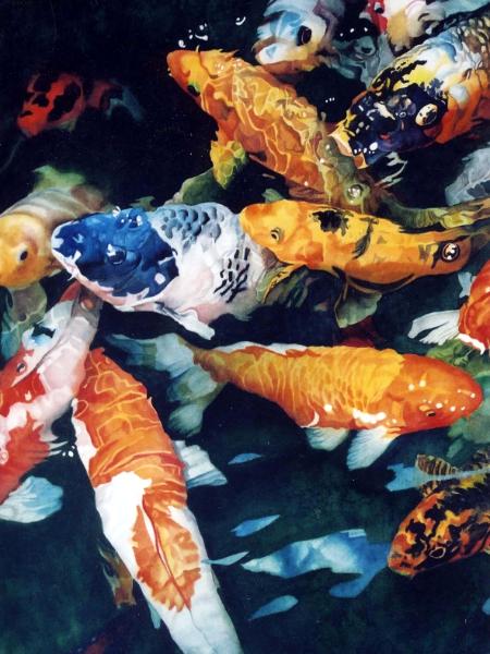 Koi Frenzy II (Big Blue)