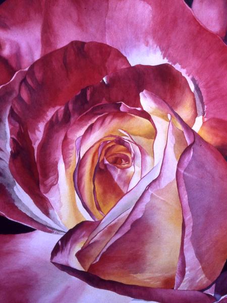 Rose II