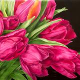 Bouquet of Tulips