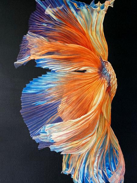 Good Bye - Orange Beta Fish Tail