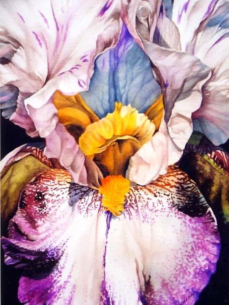 Purple Iris III
