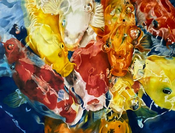 Koi Frenzy VII:  You are in My Way!