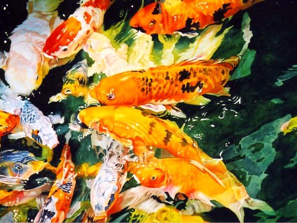 Koi Frenzy I Koi Frenzy I